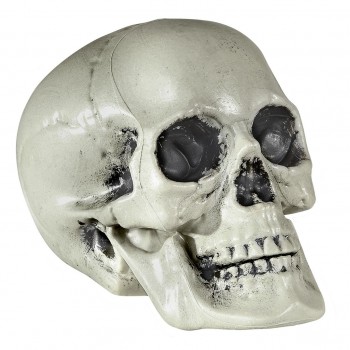 CALAVERA DE PVC 21cm