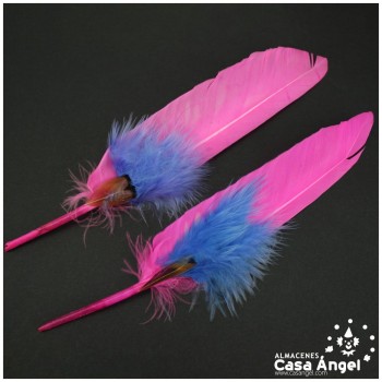 ADEREZO PAR DE PLUMAS MIXTAS COLIBRÍ 18cm