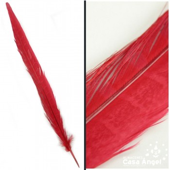 PLUMA DE FAISÁN NATURAL TINTADA ROJO 33cm