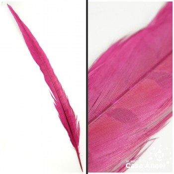 PLUMA ESPADA DE FAISÁN NATURAL TINTADA FUCSIA 43cm