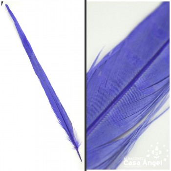 PLUMA ESPADA DE FAISÁN NATURAL TINTADA AZUL 43cm