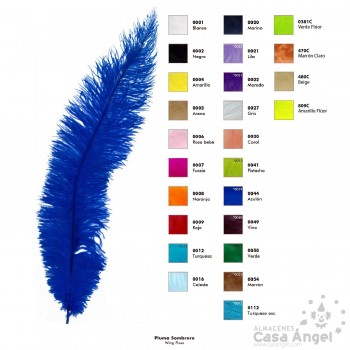 PLUMA AVESTRUZ WING FLOSS 40cm