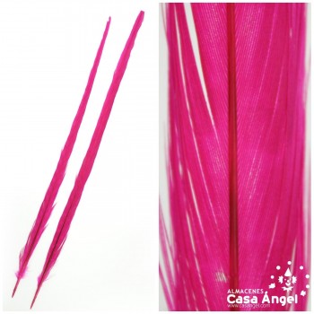 PLUMA LANZA COLA DE FAISÁN TEÑIDA FUCSIA 55cm